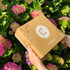 Achat Boîte cadeau Centifolia