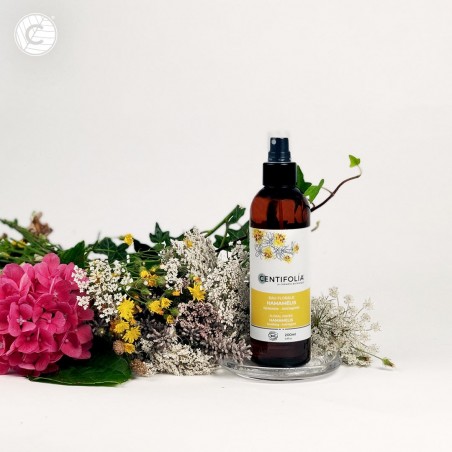 Eau florale biologique d'Hamamélis