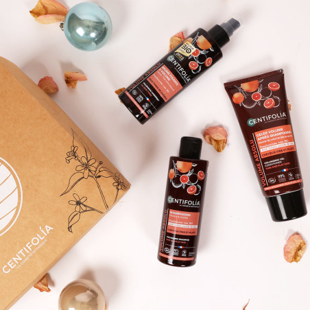Coffret cheveux Volume Absolu