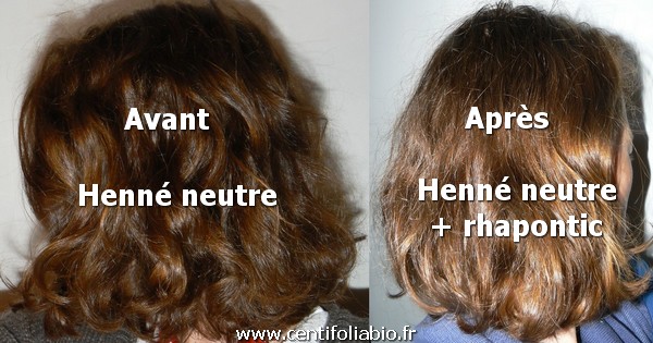 Avant et apres le henne neutre + rhapontic