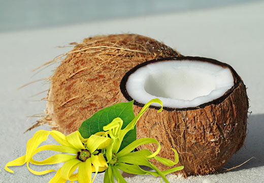 Baume corps tentation Coco & Ylang