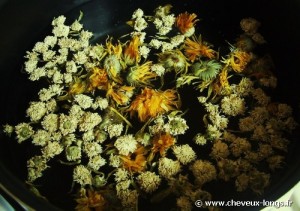 Décoction de plantes pour préparation du henné