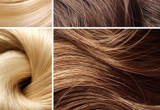 Dossier sur la coloration des cheveux au henné naturel