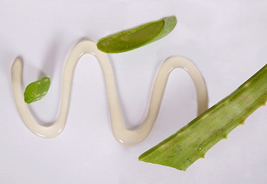 Gel d’Aloe Vera : pourquoi et comment l’utiliser ?