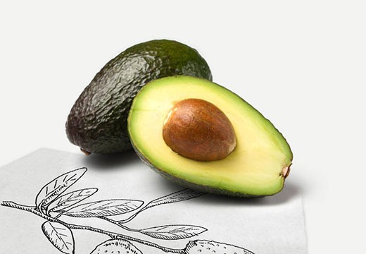 L’avocat, il prend la défense de notre peau