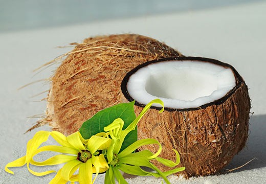 Baume corps  tentation Coco & Ylang