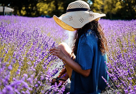 Les 5 indispensables de votre été