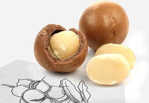 Macadamia, il était une noix